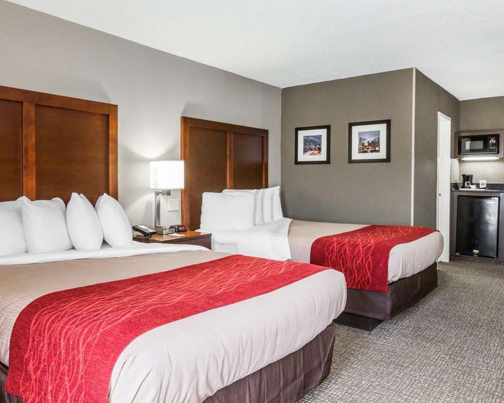 Comfort Inn Sandy Springs - Perimeter Atlanta Room photo